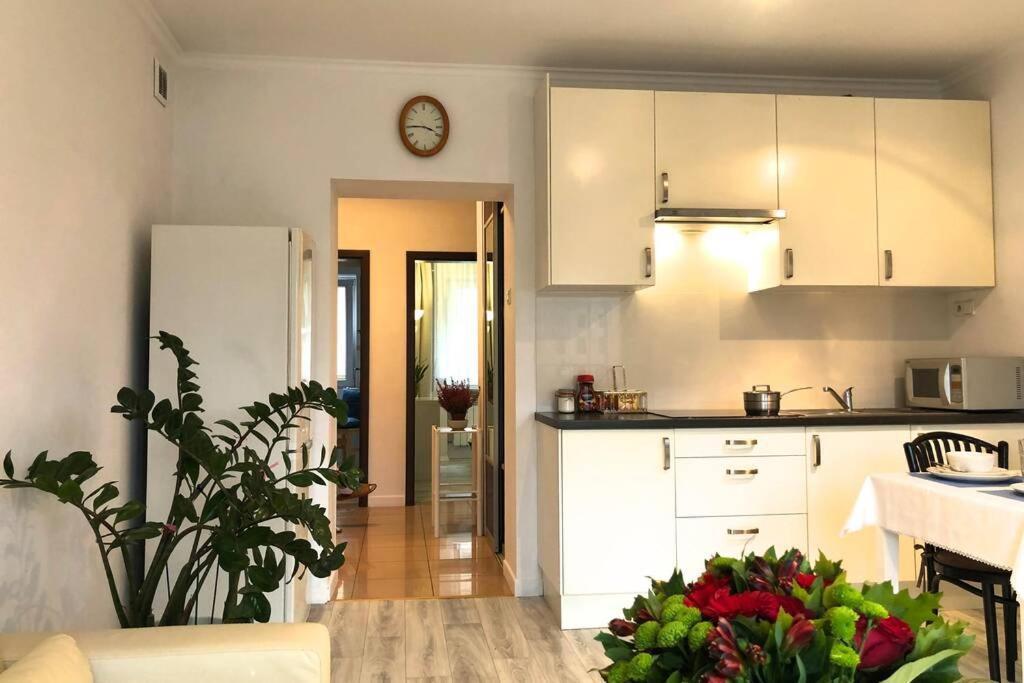 Apartament Center- Large With National Musee View